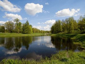 Юридическая помощь в получении права аренды земель водного фонда.