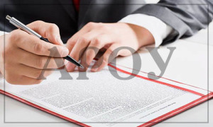помощь в составлении проектов договоров